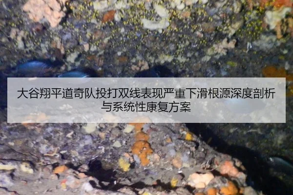 大谷翔平道奇队投打双线表现严重下滑根源深度剖析与系统性康复方案