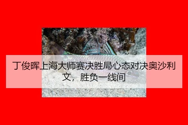 ding-jun-hui-shang-hai-da-shi-sai-jue-sheng-ju-xin-tai-dui-jue-ao-sha-li-wen-sheng-fu-yi-xian-jian-3-980.jpg