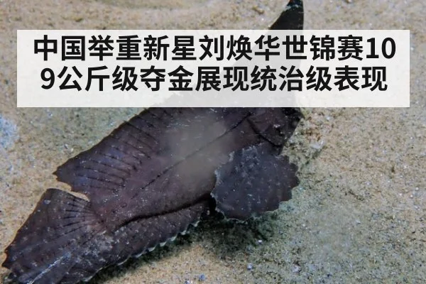 中国举重新星刘焕华世锦赛109公斤级夺金展现统治级表现
