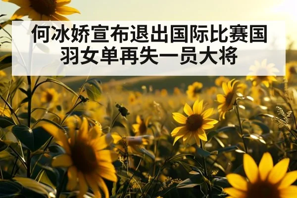 何冰娇宣布退出国际比赛国羽女单再失一员大将